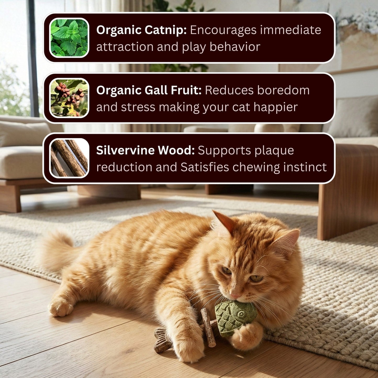 Catnip & Silvervine Chew