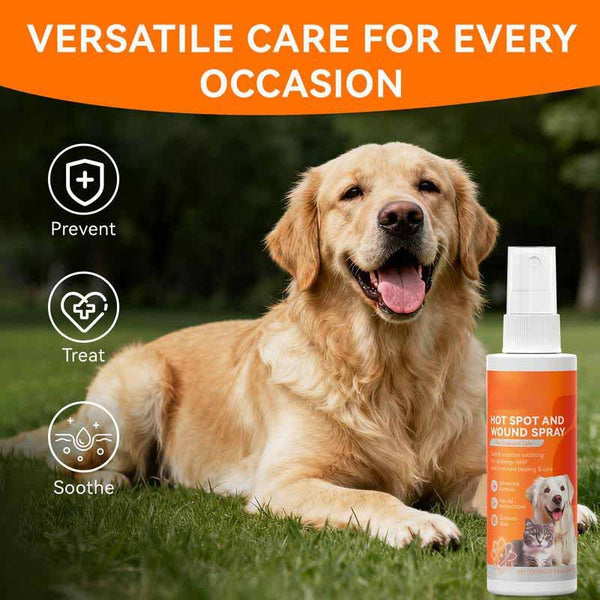 Vet-Recommended Itch Relief Spray for Dogs & Cats – Quantum Silver Formula