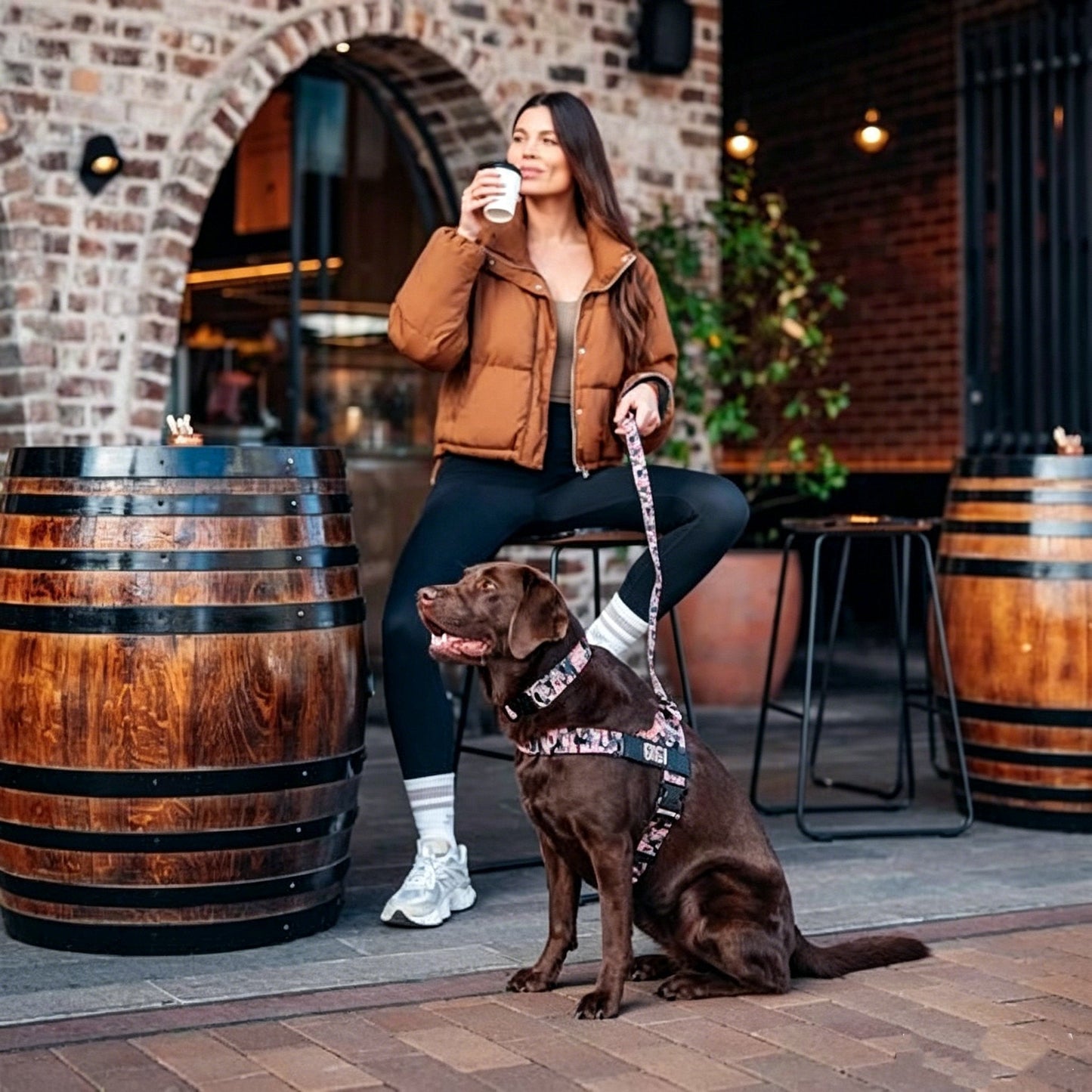 ✨The Dog Harness That Stops Pulling — Without Sacrificing Comfort ✨