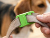 swatch