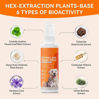 Vet-Recommended Itch Relief Spray for Dogs & Cats – Quantum Silver Formula
