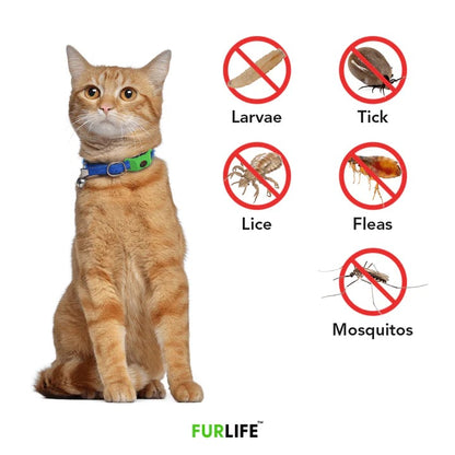 🐕12 Months Flea and Tick Free⏰