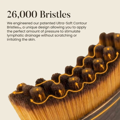 🔥#1 Bestseller - Sconto del 49%丨Gua Sha Brush - Sculpt Your Face Effortlessly