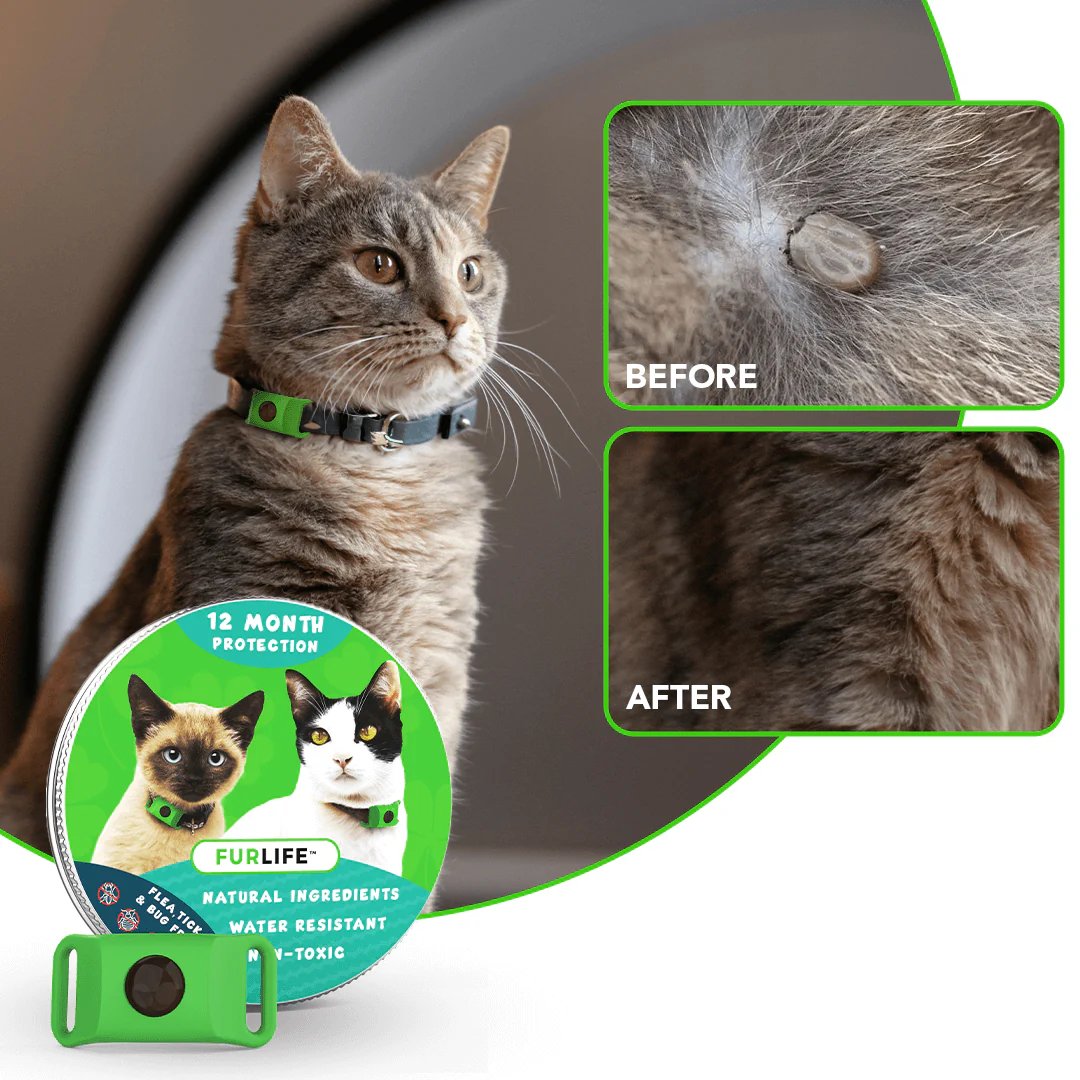 🐕12 Months Flea and Tick Free⏰