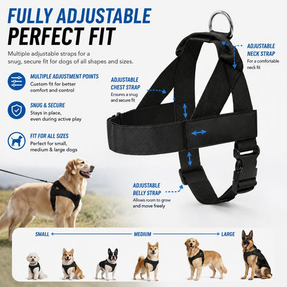 ✨The Dog Harness That Stops Pulling — Without Sacrificing Comfort ✨